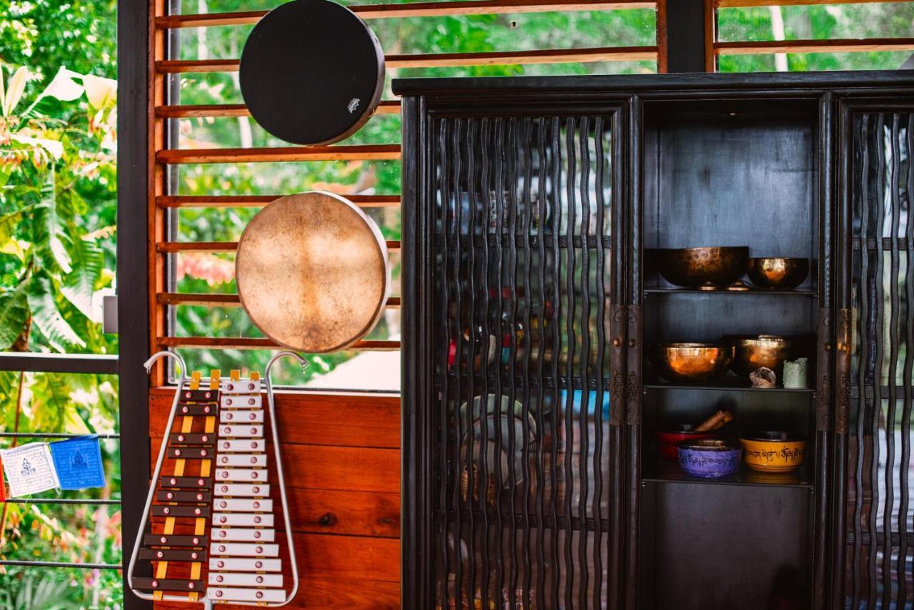 Selva Madre Eco-Sanctuary Aparthotel Cahuita Exterior photo
